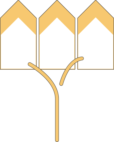 Logo SCBG