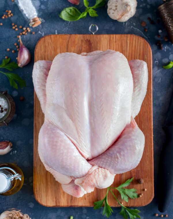 pollo vertical